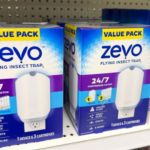 Best Fruit Fly Traps