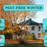 Why Fall Pest Control is Essential for a Pest-Free Winter