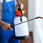 Recurring vs. One-Time Pest Services