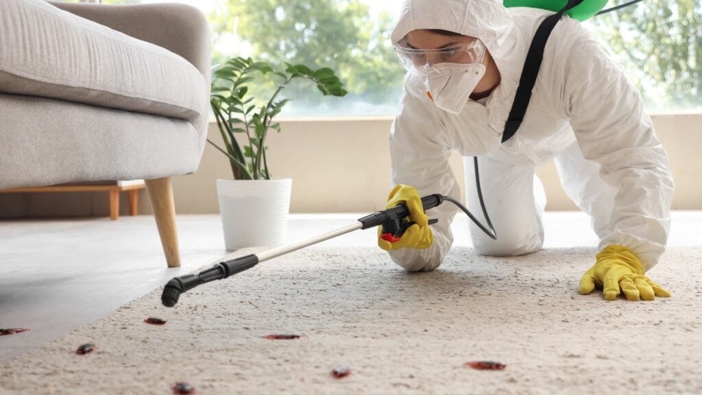 Recurring vs. One-Time Pest Services – Which is Right for You? 3 2026 Average Pest Control Cost