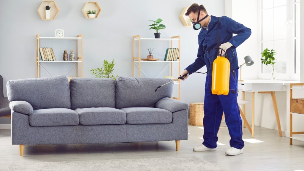 Recurring vs. One-Time Pest Services – Which is Right for You? 4 How to Choose Between Recurring vs One-Time Pest Services