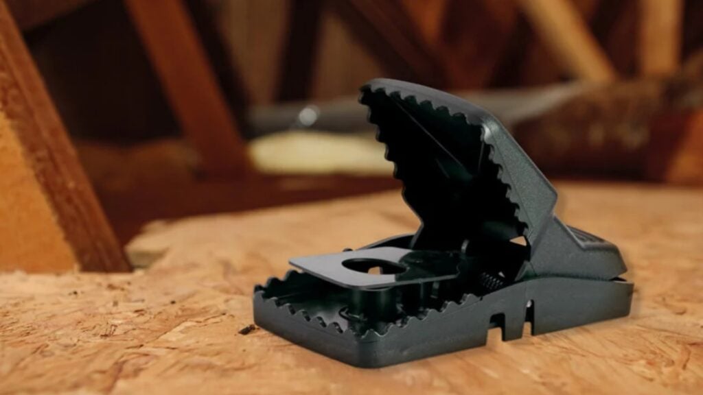 5 Best Rat Traps for Effective Control in 2026 - Complete Buyer's Guide 3 Snap Traps for Rats