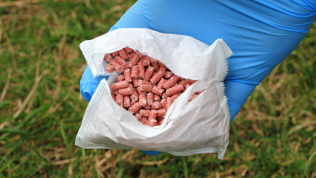 Best Rat Poisons and Baits in 2026