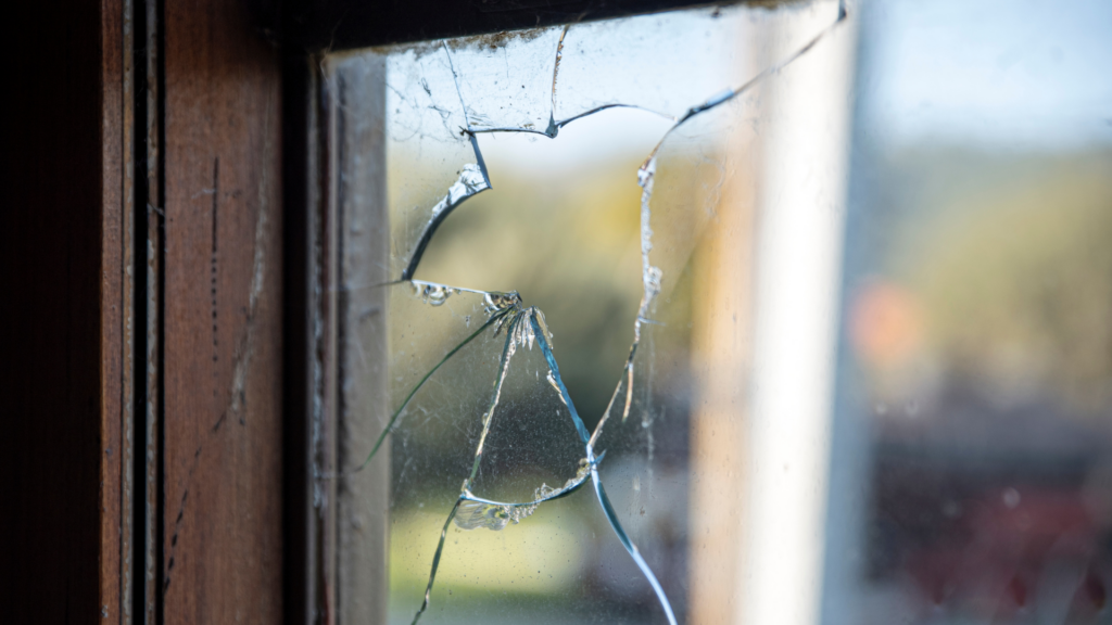 How do Wasps get into the House?​