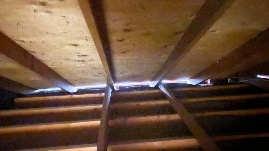 yellow jackets indoors