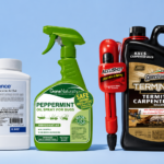 Best Carpenter Ant Killer
