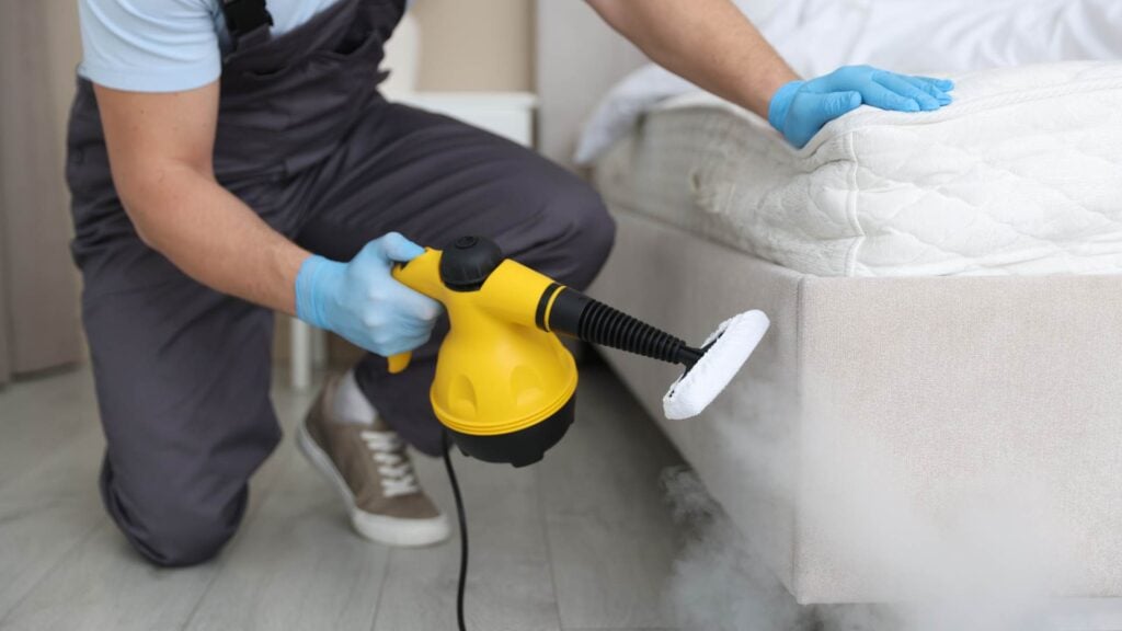 DIY vs. Professional Bed Bug Treatment: When It's Time to Call an Exterminator 4 DIY vs. Professional Bed Bug Treatment: When It's Time to Call an Exterminator