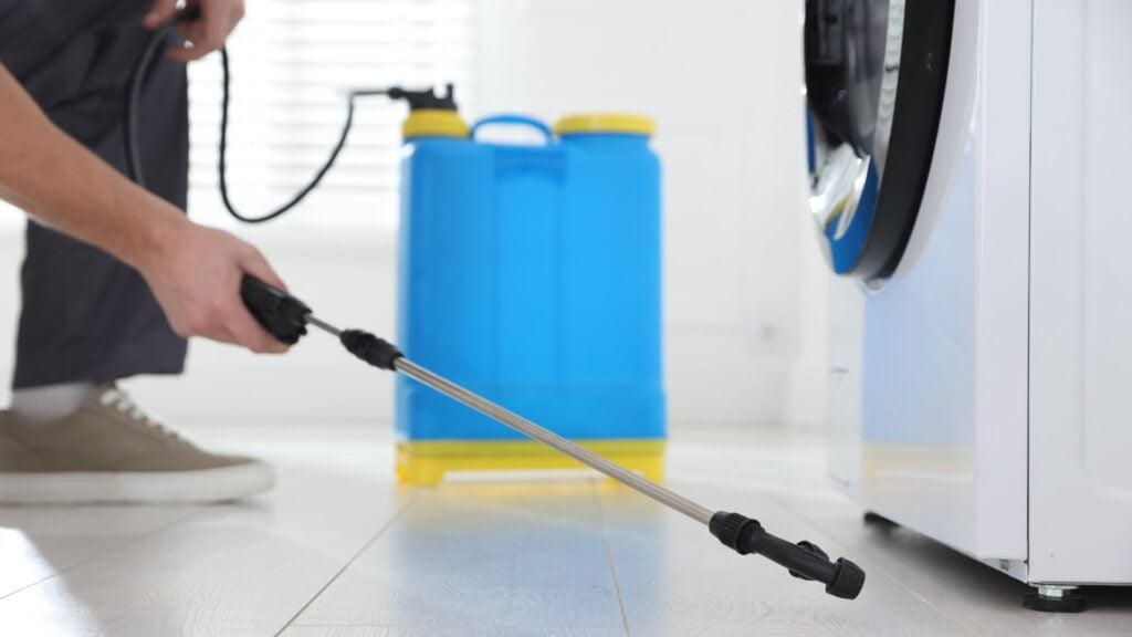 Why Are Winged Ants Suddenly Appearing in My House (And What to Do) 9 When Should You Call a Professional Pest Control Company?
