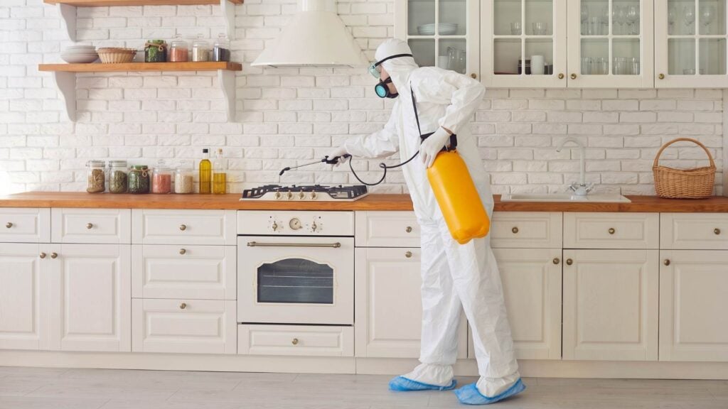 Why Do Ants Keep Returning After the Nest is Gone 9 When You Should Call a Professional For Ant Control