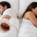 What Attracts Bed Bugs to One Person More than Another