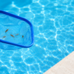 How to Keep Water Boatmen Out of Pool