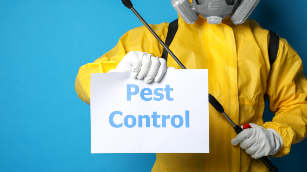 Cedarcide Pest Control Granules Review - Is It Effective Against Fleas, Ants & Spiders? 6 Cedarcide Pest Control Granules Review