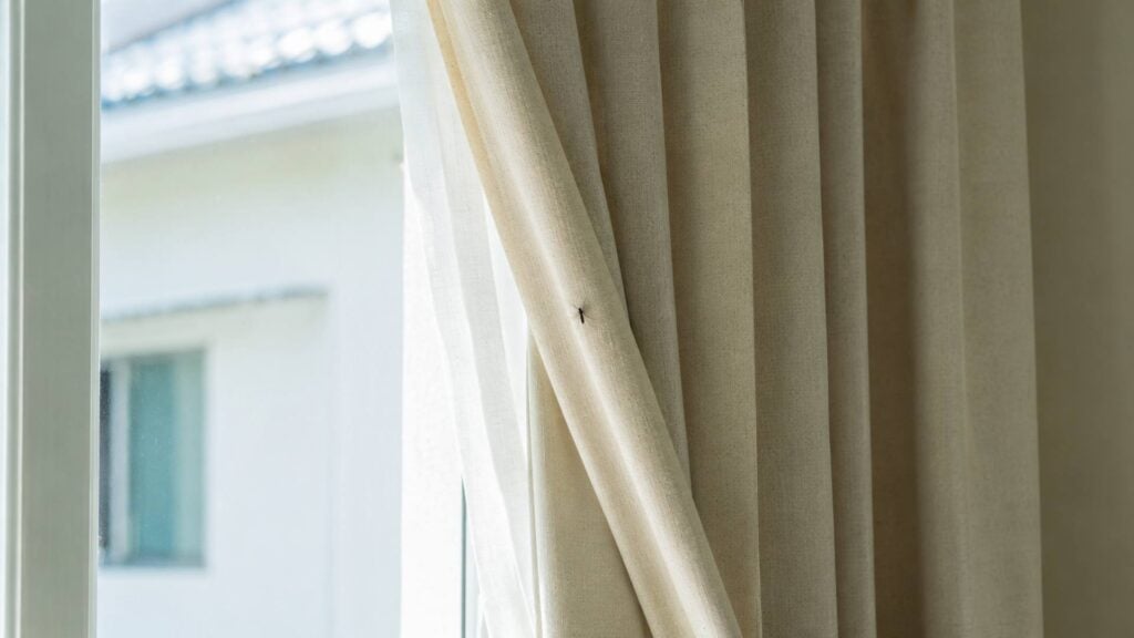 Where Do Mosquitoes Hide During the Daytime Indoors 2 Where Do Mosquitoes Hide During the Daytime Indoors