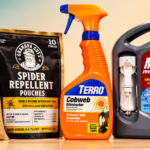 Best Spider Deterrent For Crawl Spaces