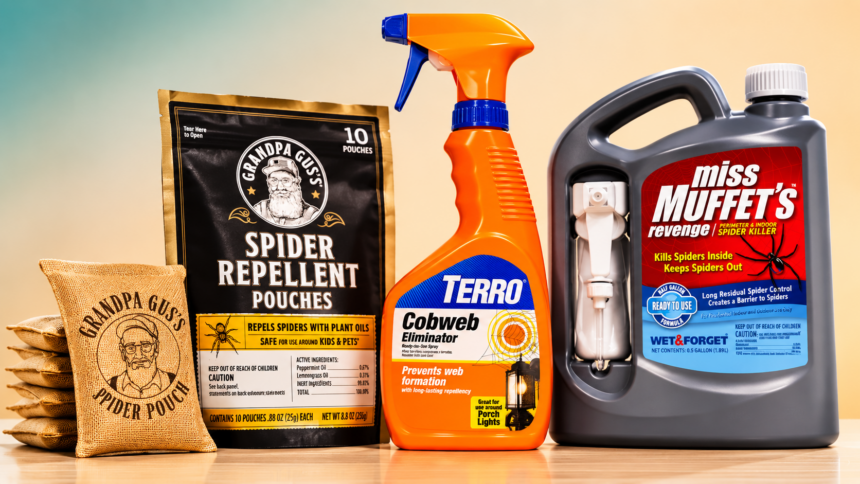 Best Spider Deterrent For Crawl Spaces