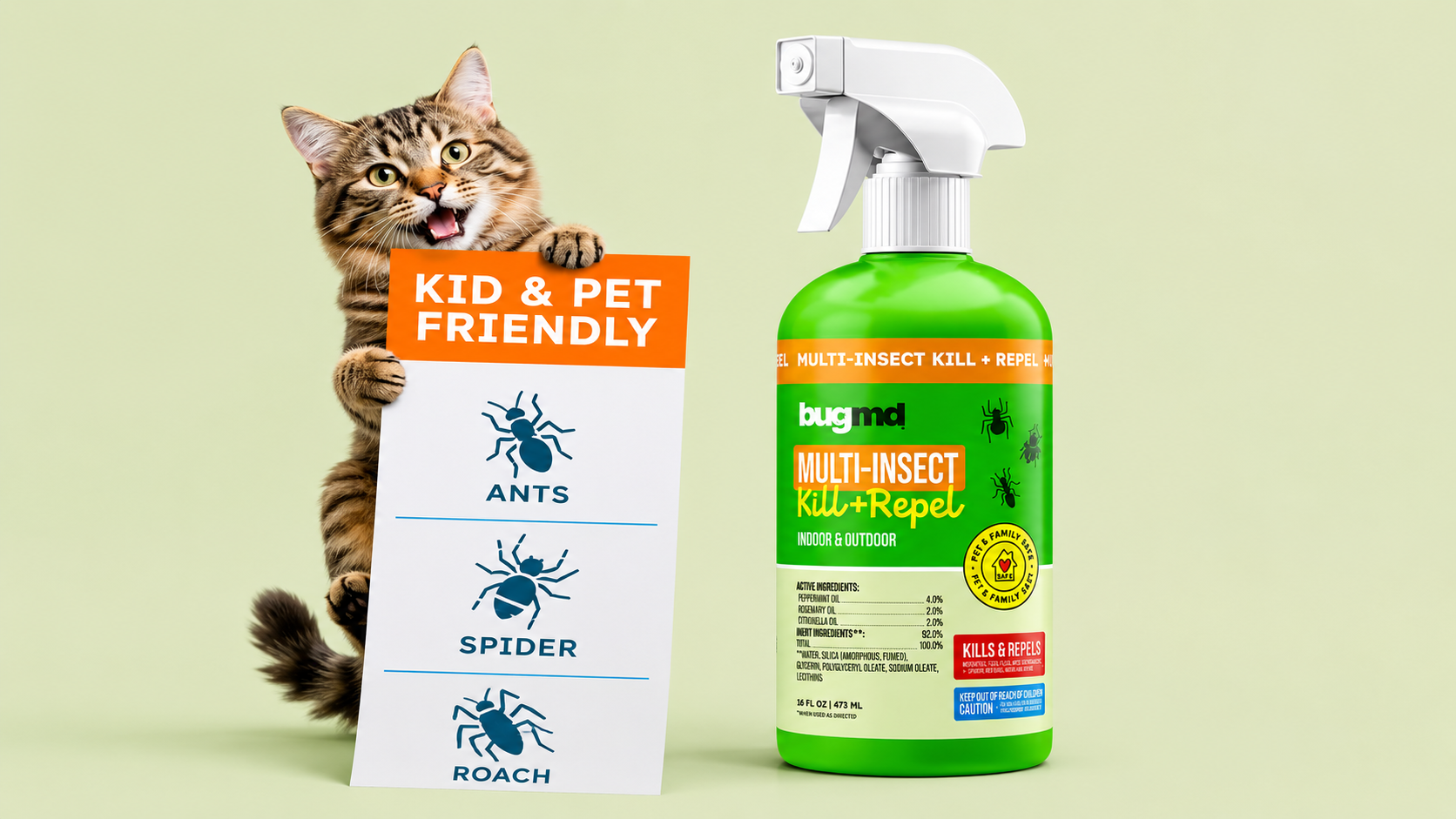 BugMD Insect Killer Spray Review - Does It Really Work? 3 What Are the Key Features of BugMD Insect Killer Spray?