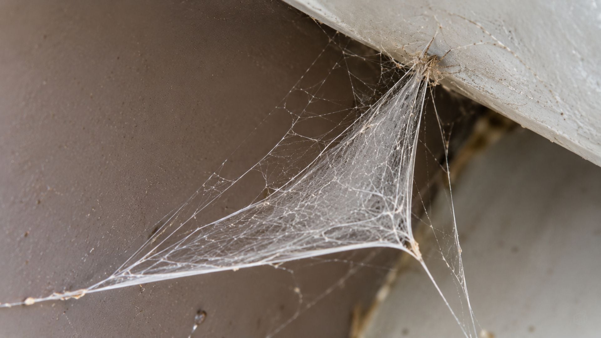 Triangle Spider Webs