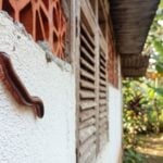 Why Millipedes Appear after Heavy Rain